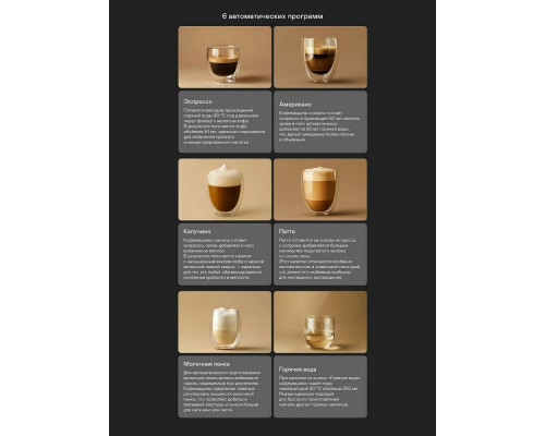 Кофемашина GARLYN L800