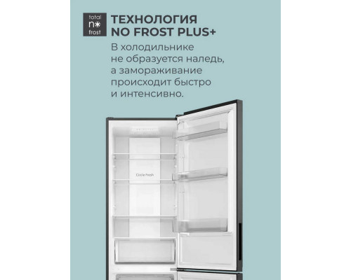 Холодильник CANDY CFN 6200B черный