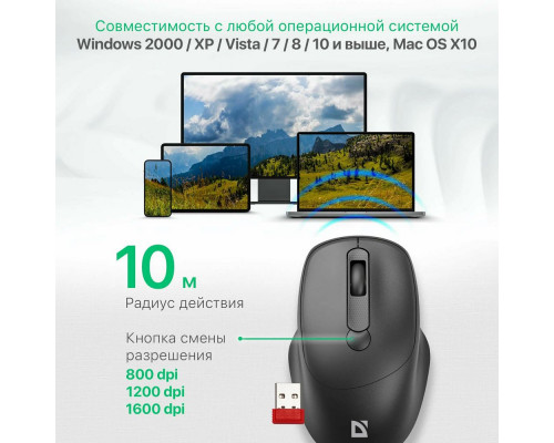 Мышь Defender Feam MM-296 черный
