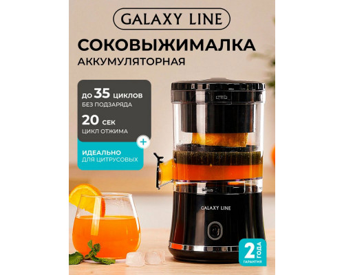 Соковыжималка GALAXY GL 0855 черный