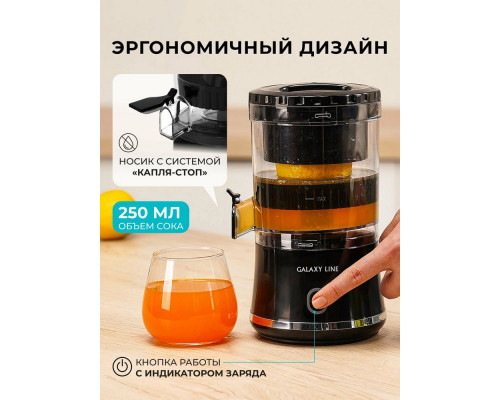 Соковыжималка GALAXY GL 0855 черный