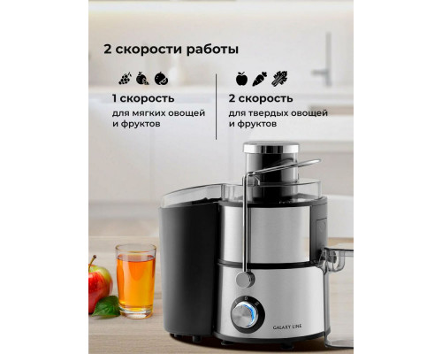 Соковыжималка Galaxy Line GL 0809 серебристый