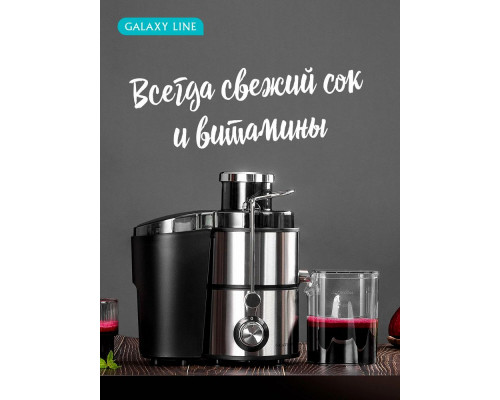 Соковыжималка Galaxy Line GL 0809 серебристый