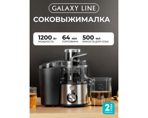 Соковыжималка Galaxy Line GL 0810 серебристый