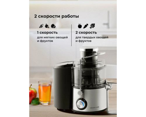 Соковыжималка Galaxy Line GL 0810 серебристый