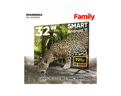 Телевизор SoundMax SM-LED32M17S