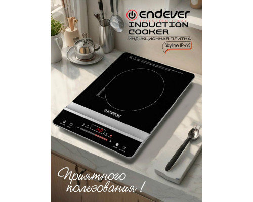 Настольная плита Endever Skyline IP-65 черный