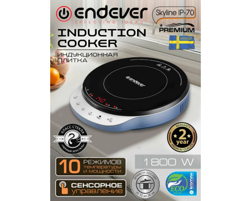 Настольная плита Endever Skyline IP-70 черный