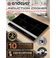 Настольная плита Endever Skyline IP-66 черный