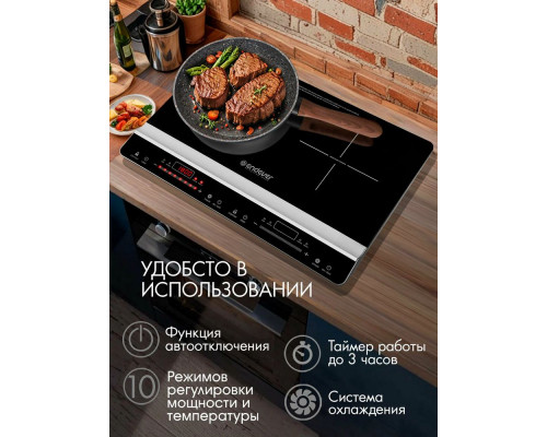 Настольная плита Endever Skyline IP-66 черный