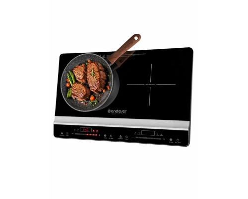 Настольная плита Endever Skyline IP-66 черный
