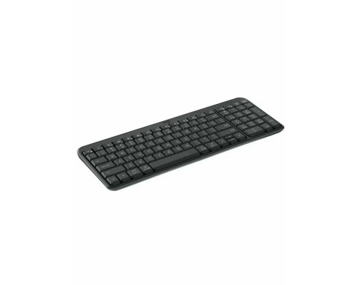 Клавиатура Logitech K250 графитовый