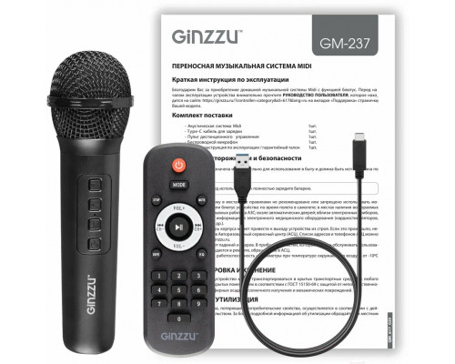 Портативная колонка Ginzzu GM-237