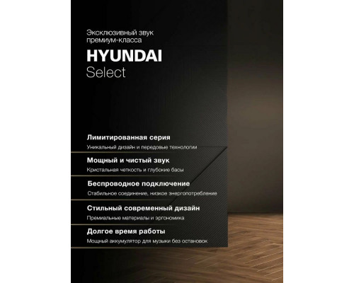 Портативная колонка Hyundai H-PS1029 черный
