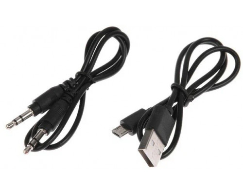 Портативная колонка Hyundai H-PS1005 черный