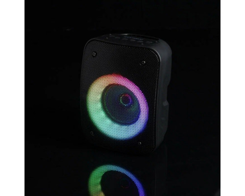 Портативная колонка Hyundai H-PS1005 черный