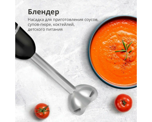 Блендер Blackton Bt HB1030SS черный