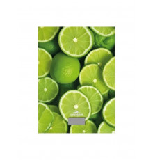 Кухонные весы Добрыня DO-3011L лайм