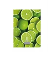 Кухонные весы Добрыня DO-3011L лайм