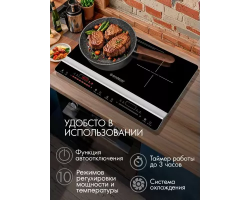 Настольная плита Endever Skyline IP-66 черный