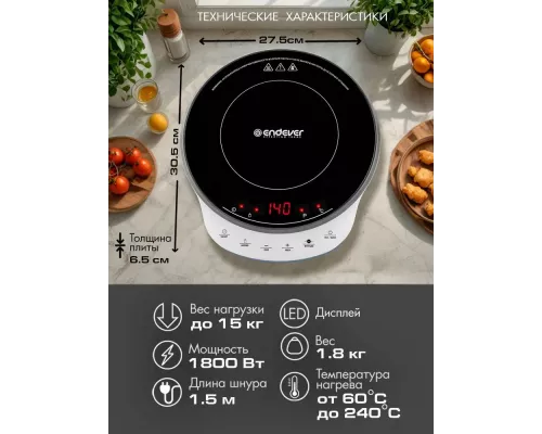 Настольная плита Endever Skyline IP-70 черный