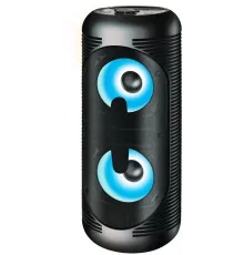 Портативная колонка Ginzzu GM-210 черный