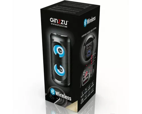 Портативная колонка Ginzzu GM-210 черный