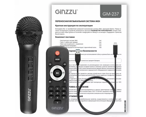 Портативная колонка Ginzzu GM-237