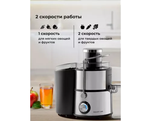 Соковыжималка Galaxy Line GL 0809 серебристый