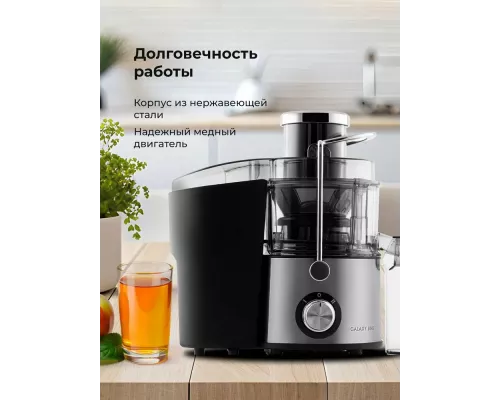 Соковыжималка Galaxy Line GL 0810 серебристый