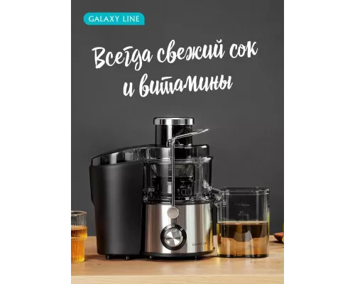 Соковыжималка Galaxy Line GL 0810 серебристый