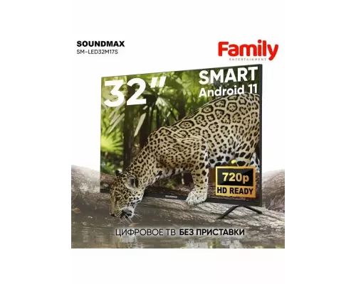 Телевизор SoundMax SM-LED32M17S