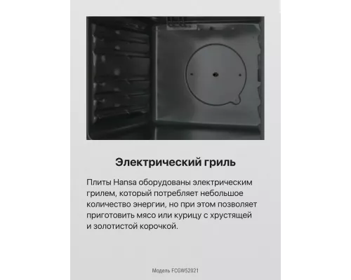 Кухонная плита Hansa FCGW52021 белый