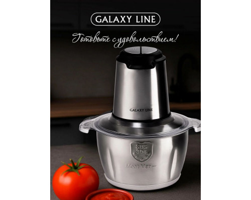 Измельчитель GALAXY GL 2384