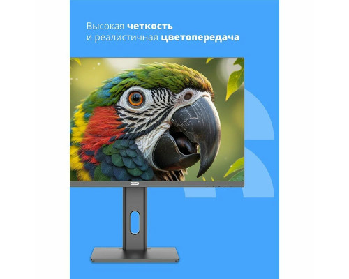 Монитор 27" CBR MB-2701 IPS 1920x1080, 100 Гц, 1 мс, 16:9, 300 кд/м², VGA, HDMI, DP, 3.5 Jack, динамики (2x3 Вт), HDR10, FreeSync, черный