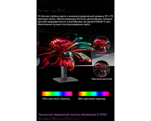 Монитор 26.5" ASUS ROG Strix XG27UCDMG QD-OLED 3840x2160, 240 Гц, 0.03 мс, 16:9, 1000 кд/м², HDMI 2.1, DP 1.4, USB-C (90 Вт), 3.5 Jack, USB Hub (3x USB 3.2), черный