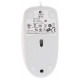 Мышь Logitech B100 белый