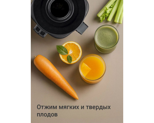 Соковыжималка REDMOND J 1408 черный/сталь