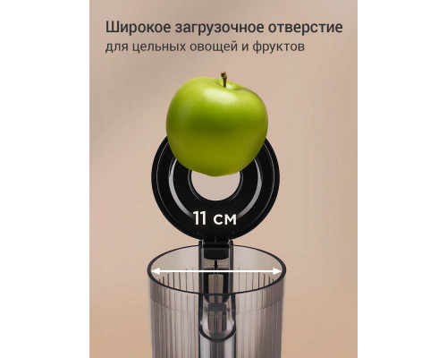 Соковыжималка REDMOND J 1408 черный/сталь