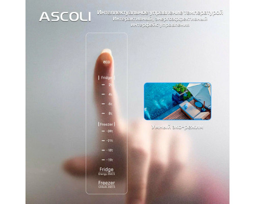 Холодильник Ascoli ACDG450WIB