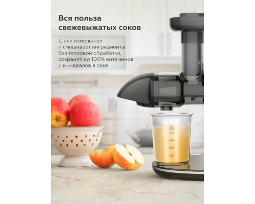 Соковыжималка BQ J2001 черный-Серебро