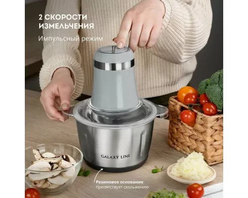 Измельчитель Galaxy Line GL 2367