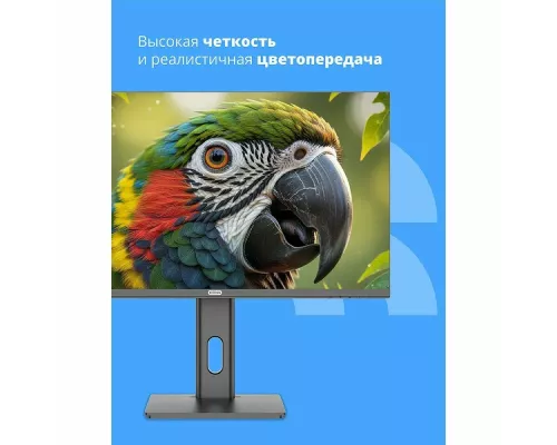 Монитор 27" CBR MB-2701 IPS 1920x1080, 100 Гц, 1 мс, 16:9, 300 кд/м², VGA, HDMI, DP, 3.5 Jack, динамики (2x3 Вт), HDR10, FreeSync, черный