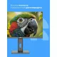 Монитор 27" CBR MB-2701 IPS 1920x1080, 100 Гц, 1 мс, 16:9, 300 кд/м², VGA, HDMI, DP, 3.5 Jack, динамики (2x3 Вт), HDR10, FreeSync, черный