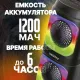 Портативная колонка SMARTBUY SBS-5490 PHOENIX черный