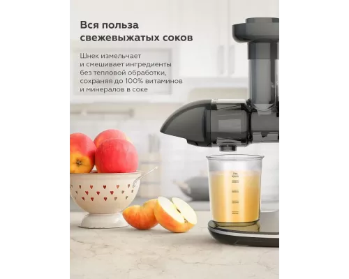 Соковыжималка BQ J2001 черный-Серебро