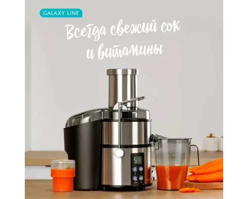 Соковыжималка Galaxy LINE GL 0808