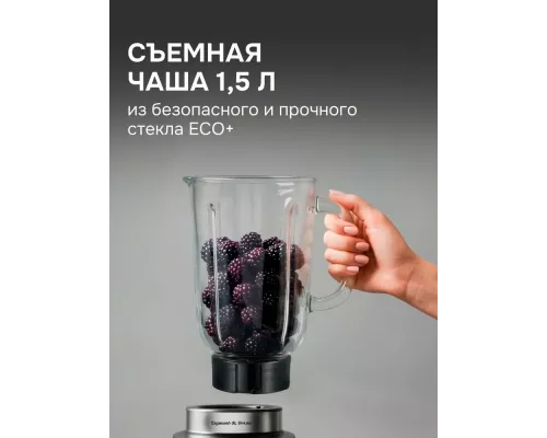 Блендер Zigmund & Shtain BS-488 D