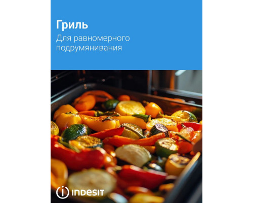Духовой шкаф Indesit IBFTE 2430 BL черный