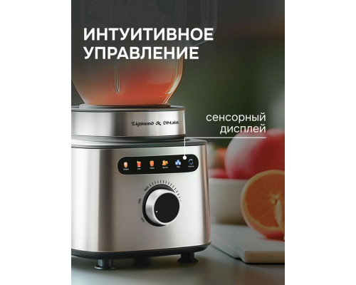 Блендер Zigmund & Shtain BS-488 D